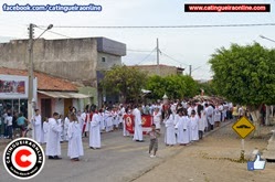 porcisão 009