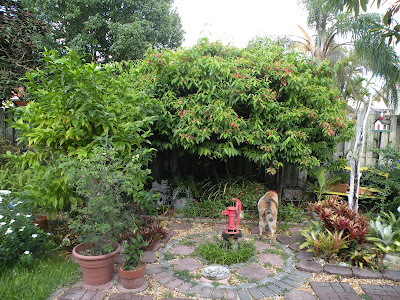 Back to the Jungle