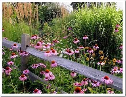 flowergarden3