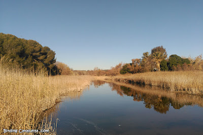 desembocadura del Gaià (Altafulla)