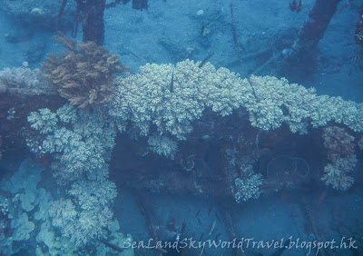 峇里, bali, 浮潛, Amed, snorkel, Japanese ship wreck