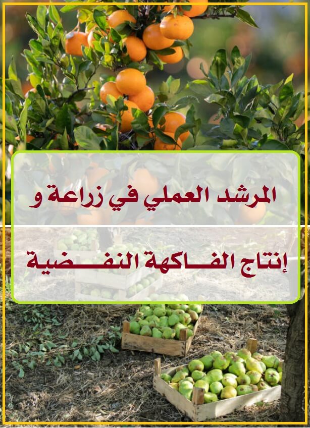 كتاب : المرشد العملي في زراعة و إنتاج الفاكهة النفضية
