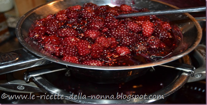 Marmellata di more (6)
