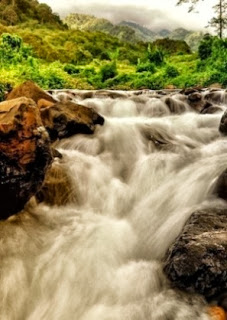 Tempat Wisata Di Jember, Jawa Timur 8