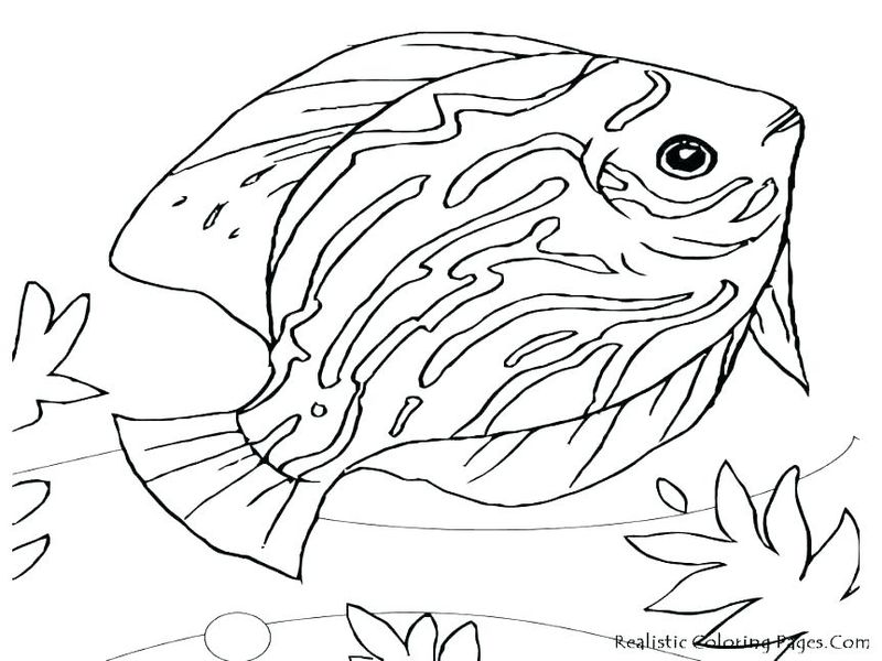 ocean coloring pages for preschoolers