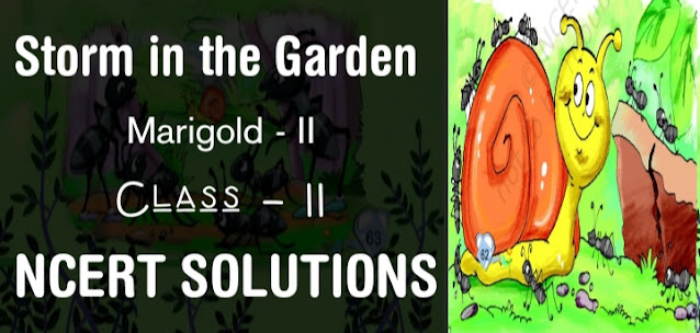 Storm in the Garden class 2 NCERT Solutions