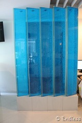 IMG_4197 IMG_4197