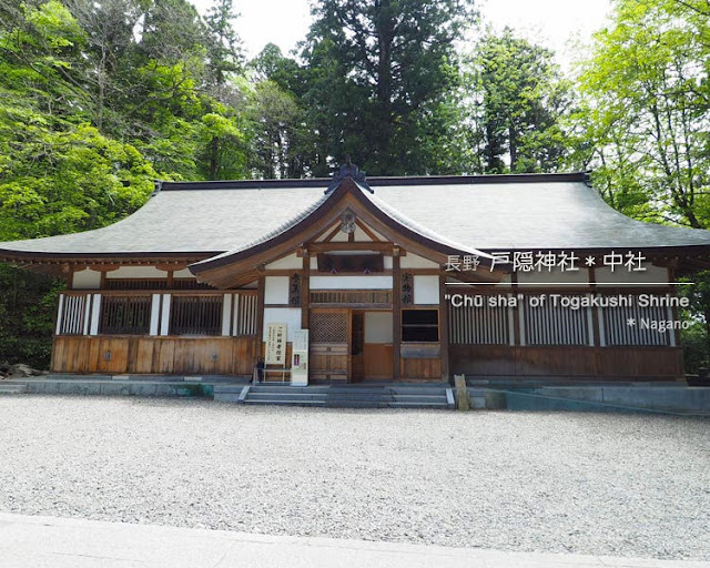 戸隠神社：中社