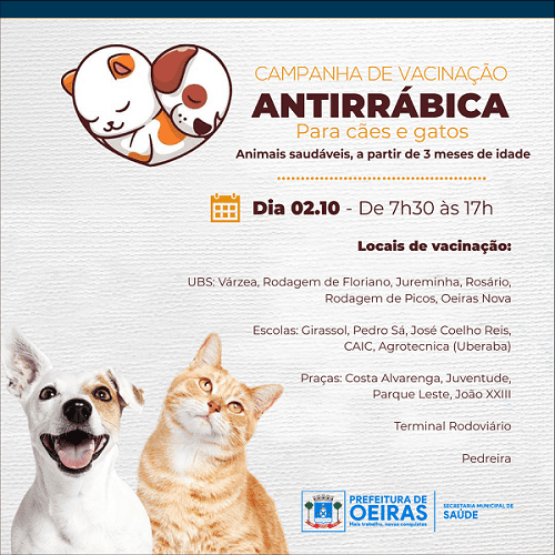 Confira programação Dia D da vacina antirrábica na cidade de Oeiras