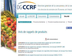 capture d'écran site Web DGCCRF