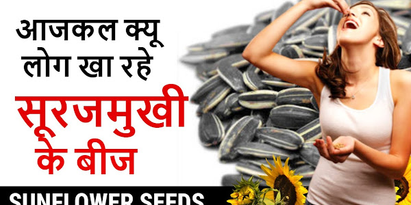 Benefits of sunflower seeds in Hindi