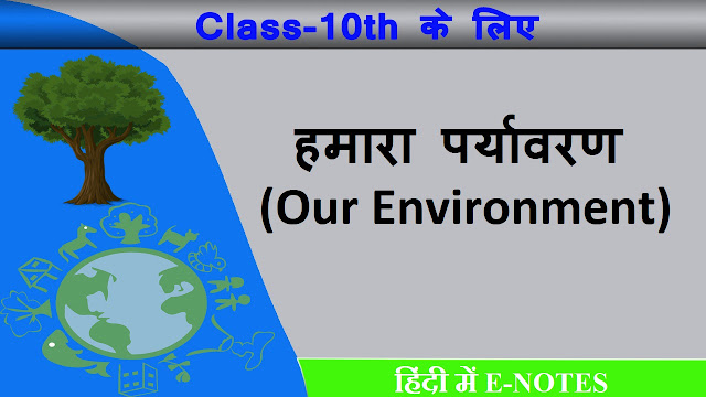 Our-Environment-class10-notes-in-hindi