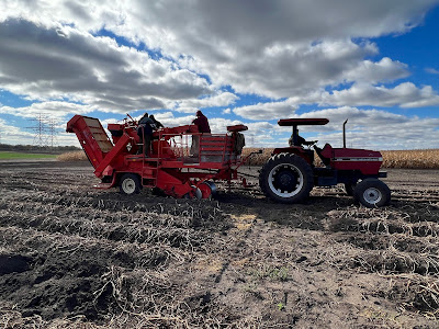 tractor and potato harvester