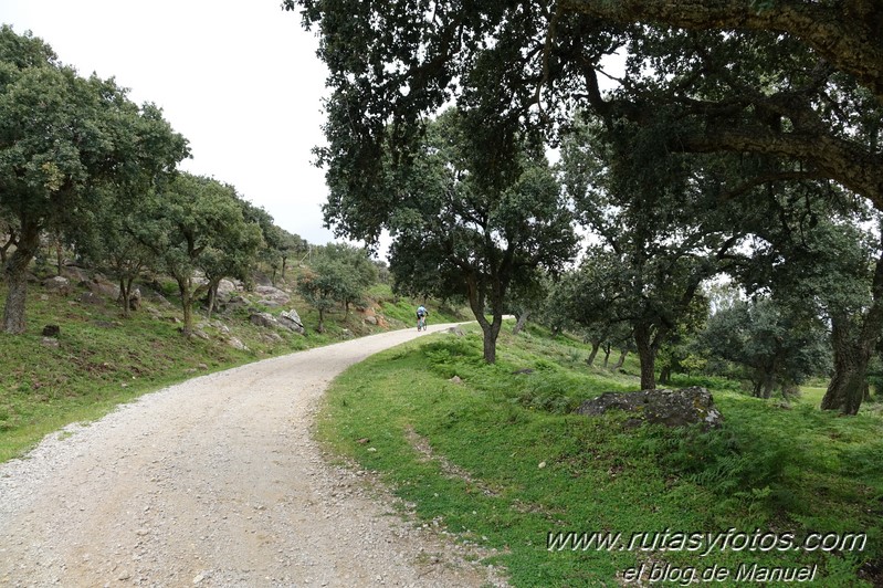 El Bujeo - Pista de la Algamasilla - Puerto de la Higuera - Río Guadalmesí