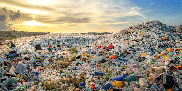 A World Without Plastic, Could It Happen?