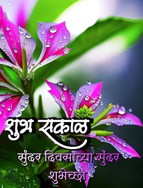 Good Morning Images Marathi Download