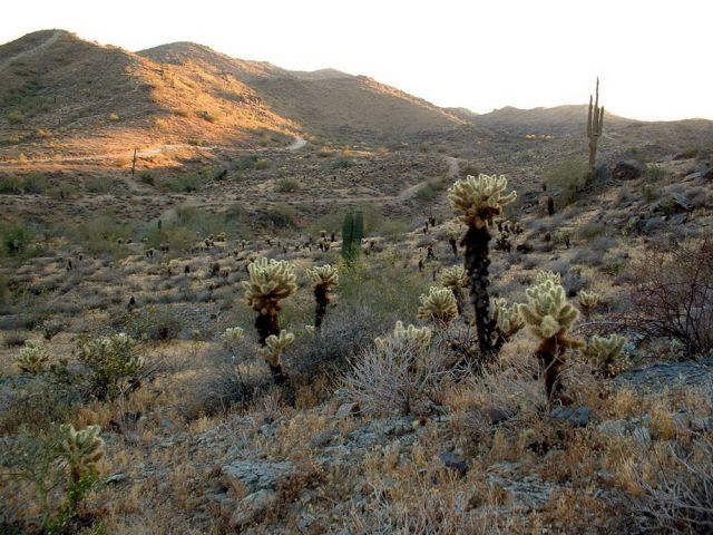 Hermosos Paisajes