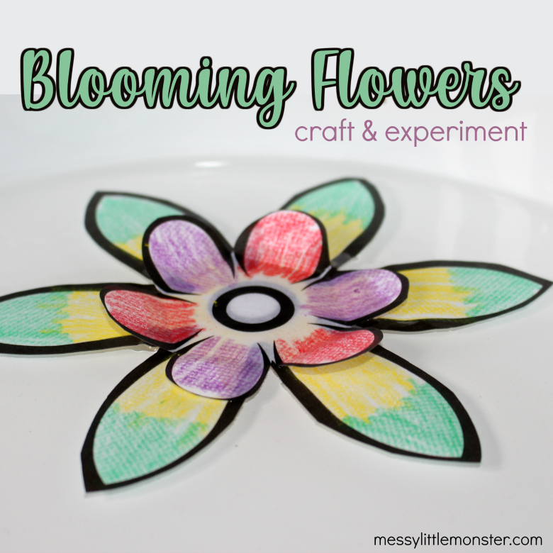 Blooming paper flowers craft and experiment