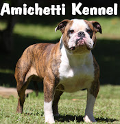 BUBBA: BLUE GENE and RED GENE. Amichetti Kennel