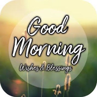 good morning images hd; very good morning images; good morning images with quotes; good morning images download; good morning images with flowers hd; amazing good morning images hd; good morning images in hindi; good morning images love; good morning images with rose flowers; good morning images sunday; good morning images with quotes; good morning thought; good morning images in hindi; good morning status; good morning; good morning images love; good morning wishes; good morning - apps; good morning photo; good morning quotes; special good morning wishes; good morning msg; good morning download; funny good morning app; beautiful good morning quotes; good morning quotes for love; blessed morning quotes; extraordinary good morning quotes; good morning quotes with images; good morning quotes download; good morning quotes 2020; good morning quotes for her; good morning messages for love; good morning messages for friends; good morning words; good morning messages in hindi; good morning messages for him; good morning message in marathi; special good morning wishes; heart touching good morning messages for friends; good morning images; google good morning images download; good morning images hd; good morning all images; good morning images with quotes; good morning quotes; good morning video; google good night images;