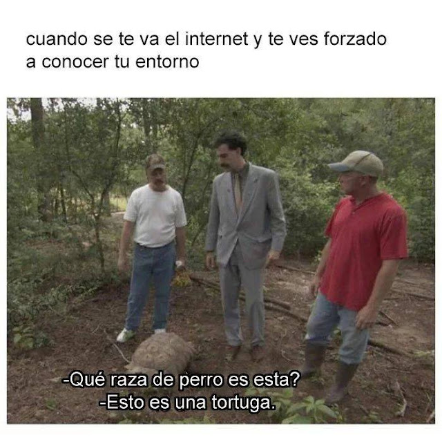 Cuando se va el internet