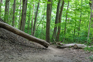 Earl Bales Hiking Trail