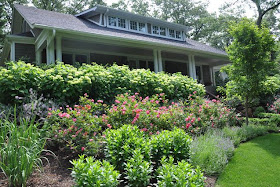 planting a sloped front yard bushes hydrangeas