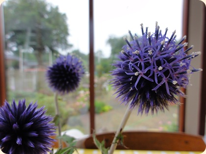 Blomstrende tidsel