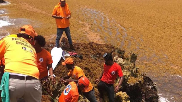 INCERTIDUMBRE!: Sargazo y polvo del Sahara dificultan búsqueda de desaparecidos en naufragio en Juanillo