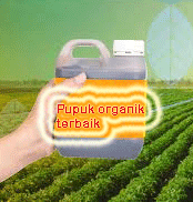 "pupuk organik terbaik"