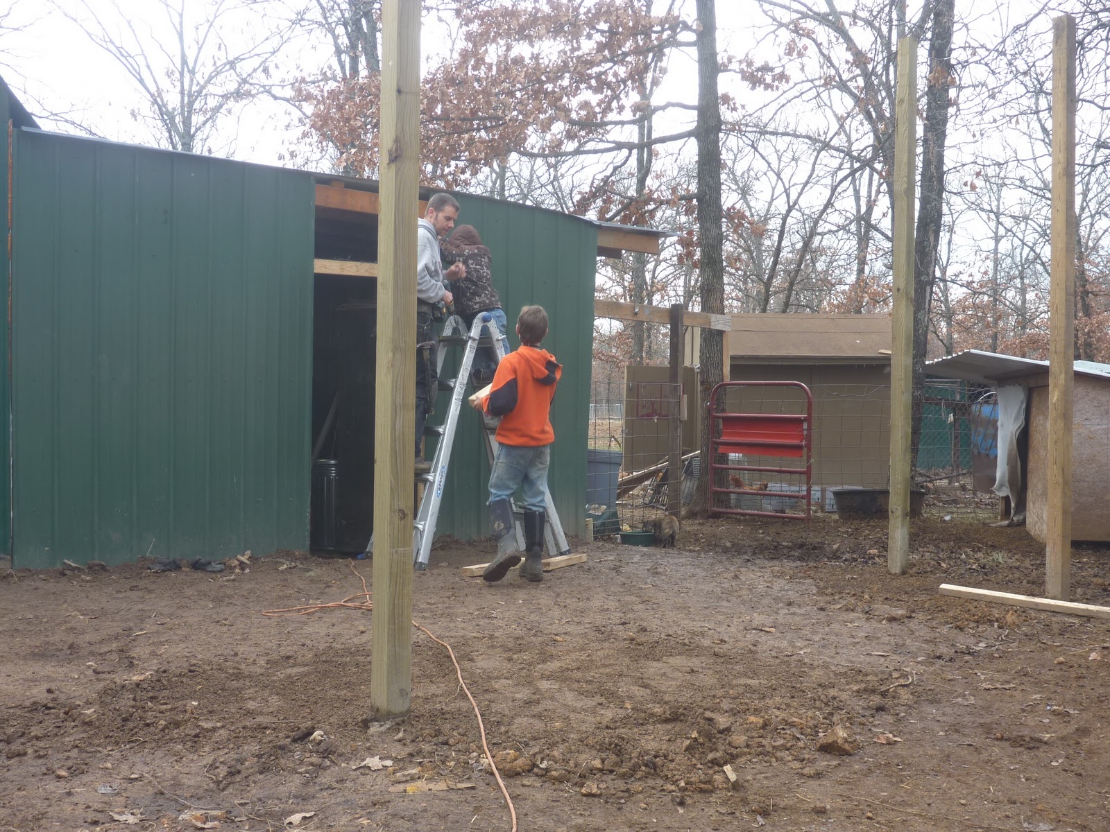 how to build a loafing shed