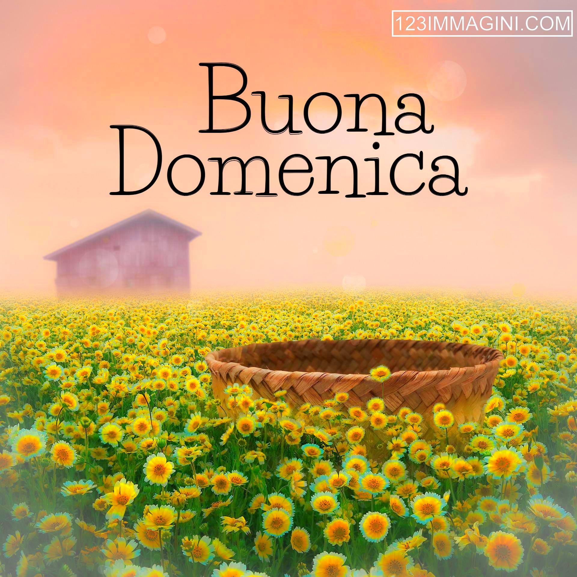 BUONGIORNO FORUM!!!!  Saluti lampo - Pagina 6 Bellissime-immagini-buona-domenica-immagini-nuove%20(14)