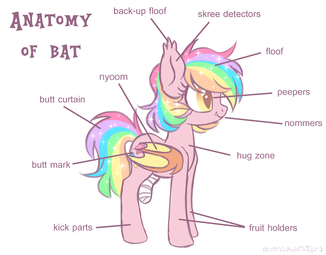 http://moonsugarstars.deviantart.com/art/Anatomy-of-Bat-648063099