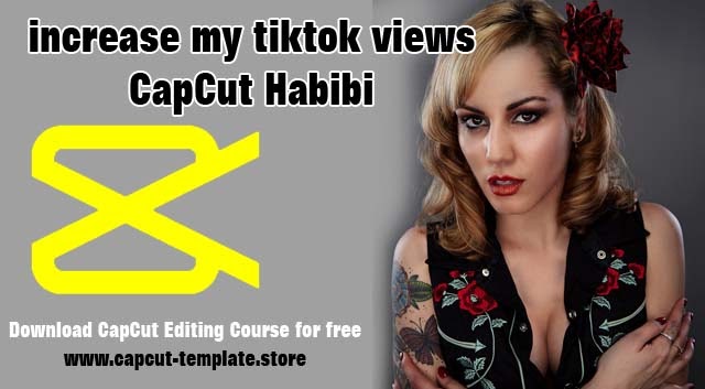 habibi-trend-capcut-capcut-new-templates-download-habibi-template