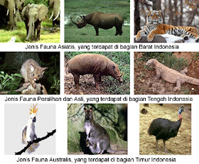 Keragaman Flora dan Fauna di Indonesia