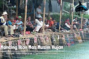 Essen Ikan Mas Musim Hujan Anti Boncos