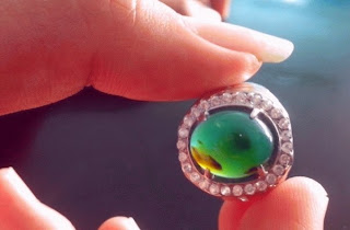 1. Bacan