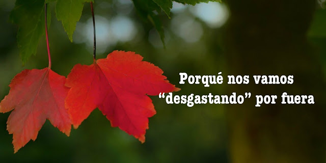 Porqué nos vamos "desgastando" por fuera