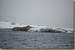 Glacial Iceberg