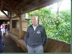 Volcano Trip 079