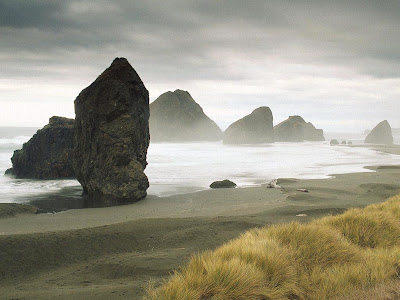 beach and sea