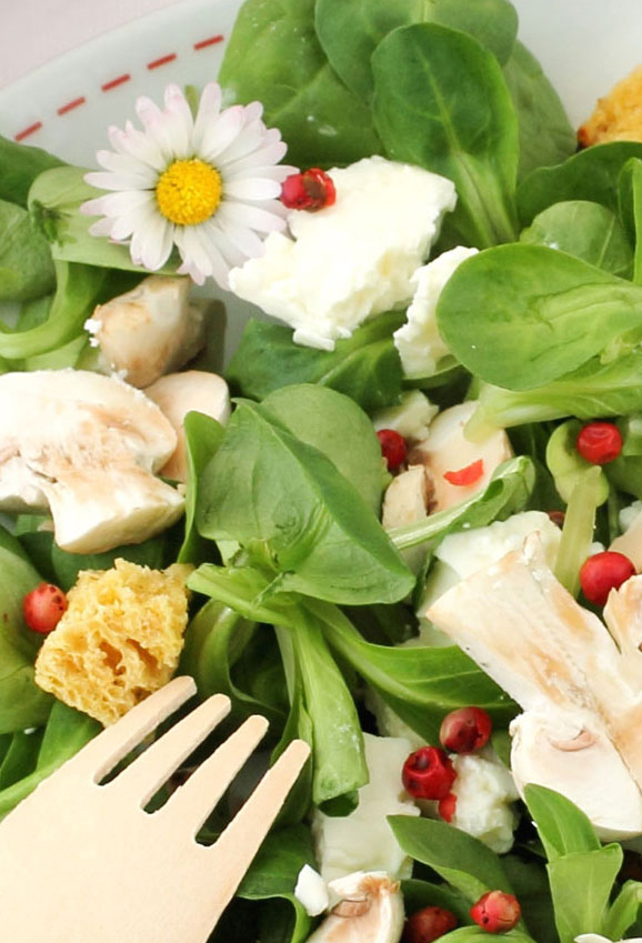  Salade aux Jeunes Pousses et aux Champignons Dukan 