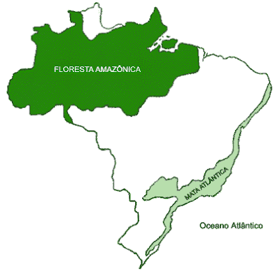 Bioma Floresta Atlântica