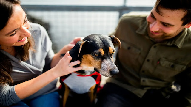 Dog with owners