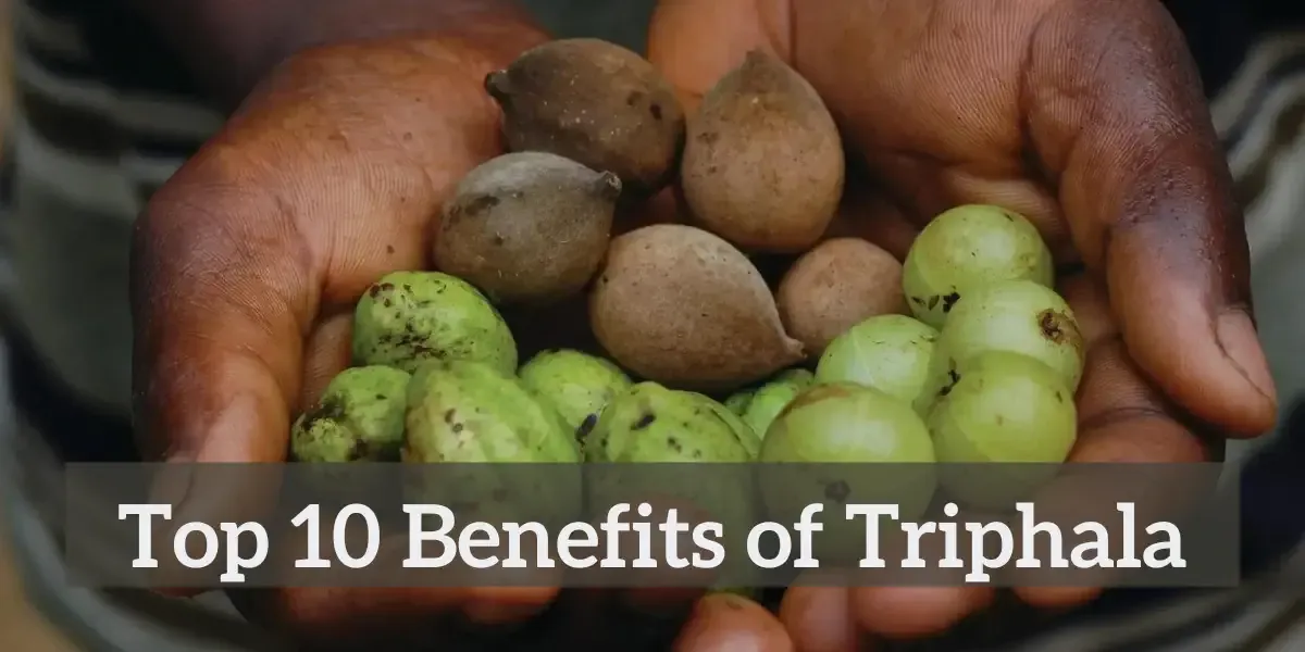 top 10 benefits of triphala