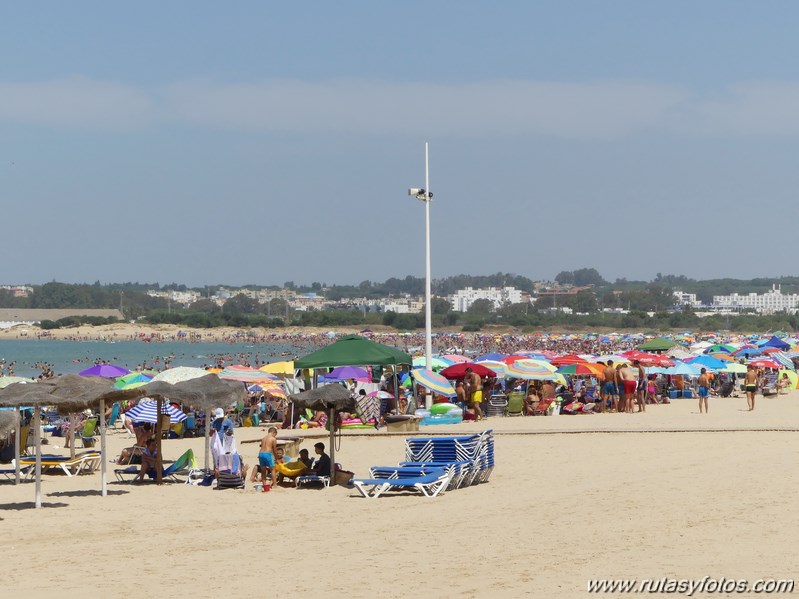 Bici Cádiz - Puerto de Santa María - Puerto Real - San Fernando - Cádiz