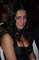 Stunning Celina in Black - at Raju Manwani’s Event