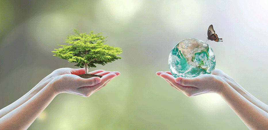 కుటుంబం - పర్యావరణ పరిరక్షణ : Family - Environmental Protection