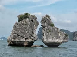 cruises halong bay