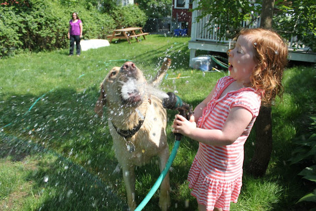 30 funny pictures of cute kids hanging out with animals, kids and animals